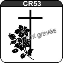 CR53